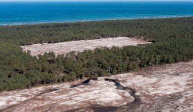 Briuselis dega žalią šviesą Lenkijos pirmajai atominei elektrinei