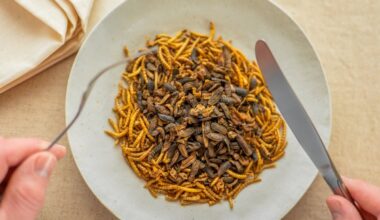 Vabzdžiai mūsų lėkštėje: paaiškėjo, kaip lietuviai žvelgia į naujos kartos maistą?