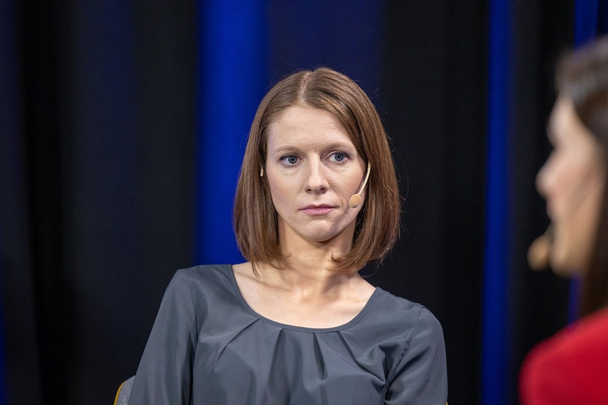 Po Davidonytės raginimo – Kultūros komiteto pirmininko atsakas