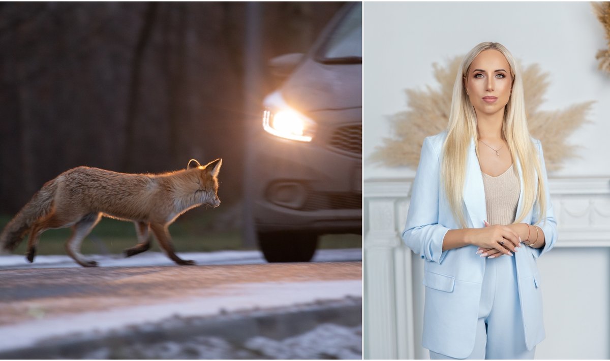 Eglė Šiugždinytė