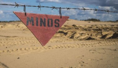 Lietuva perka prieštankinių minų už 22,8 mln. eurų