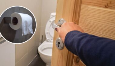 Nors kitiems juokinga, bet žinoti verta: atskleidė, kuri tualetinio pusė yra geroji