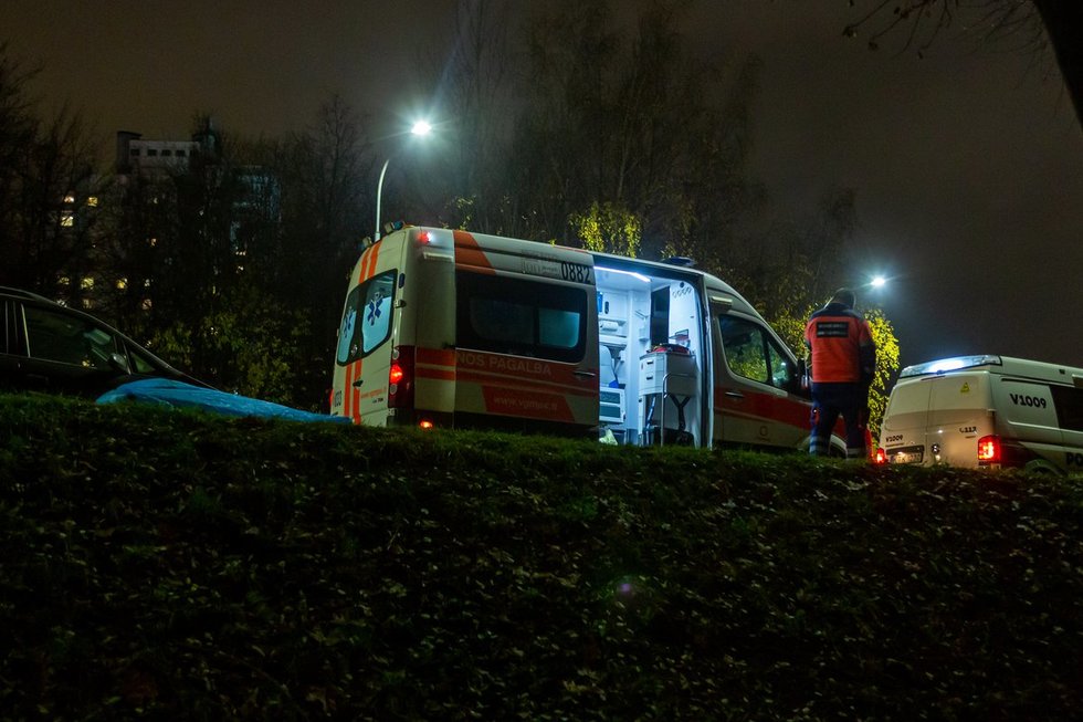 Greitoji (nuotr. Broniaus Jablonsko)