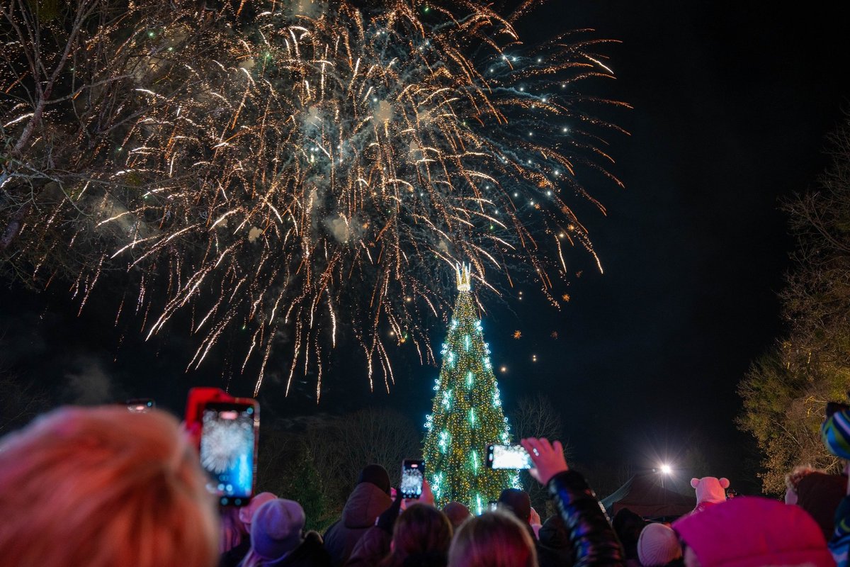 Druskininkuose suspindo Kalėdų žaliaskarė - Kalėdos