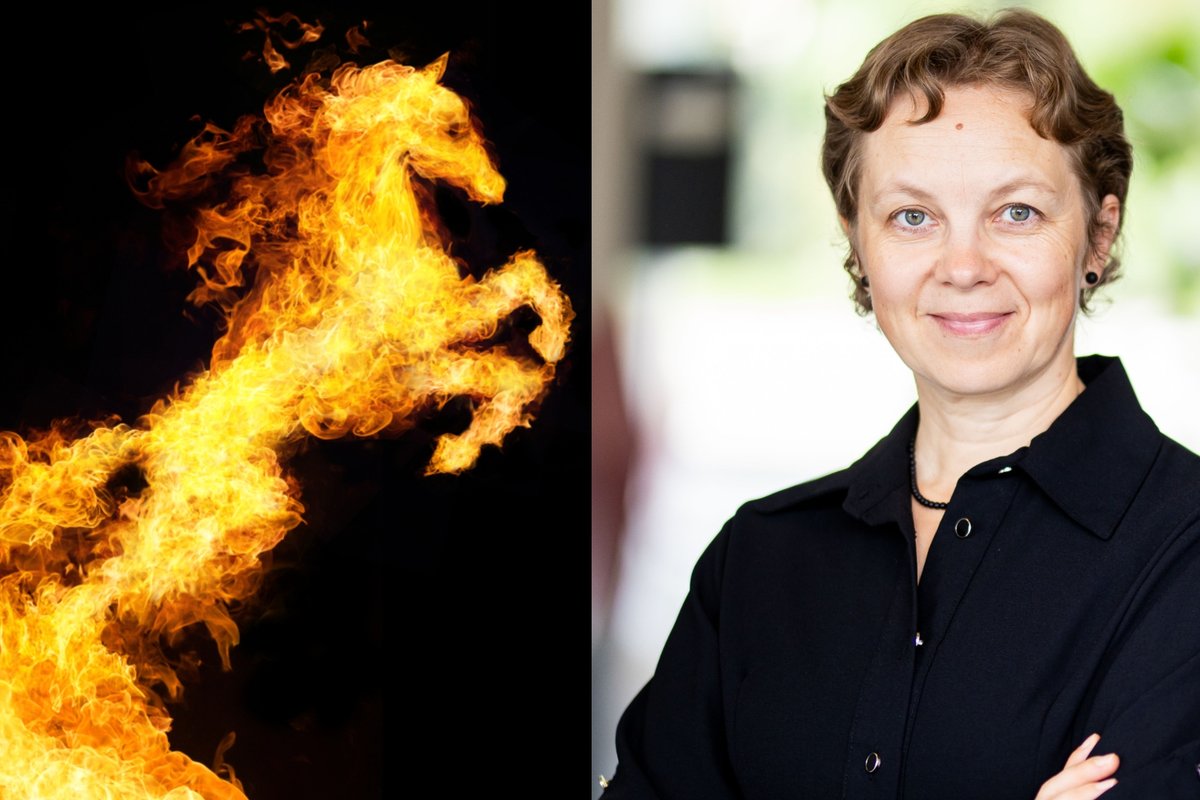 Astrofizikė Renata Minkevičiūtė. Patikrinau, ką žada artėjantys Ugninio Arklio metai