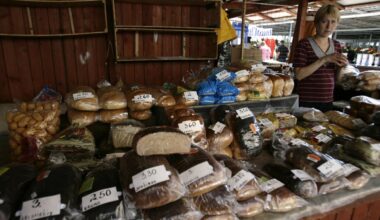 ES atsiėmė skundą PPO dėl Kinijos įvestų apribojimų lietuviškoms prekėms