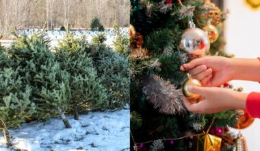 Lietuvių kalėdinės mados stebina pardavėjus