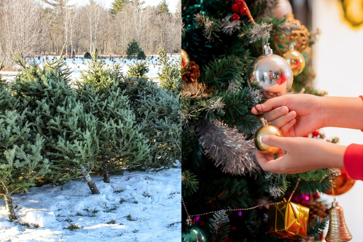 Lietuvių kalėdinės mados stebina pardavėjus