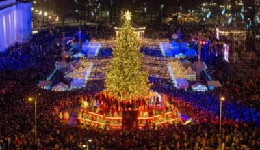 Ir šiemet eglė neįtiko: kai kurie vilniečiai skundžiasi kalėdiniu miesteliu