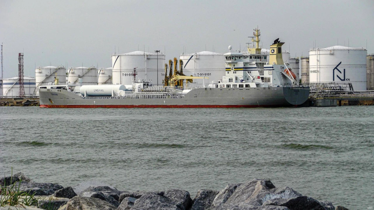 Dviženkle išraiška šiemet augusioje vietinėje rinkoje lietuviškos akcijos brango ir po 40–70%