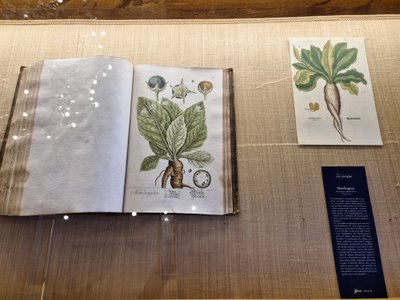 „Aboca“ muziejaus eksponatai