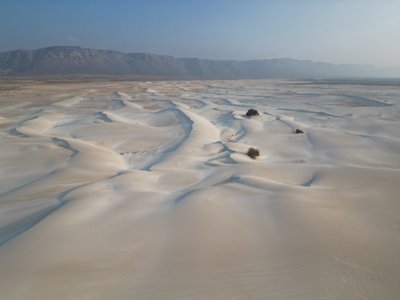 Algirdo Morkūno kelionė Sokotroje