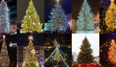 Išrinkite gražiausią Lietuvos didžiųjų miestų eglę