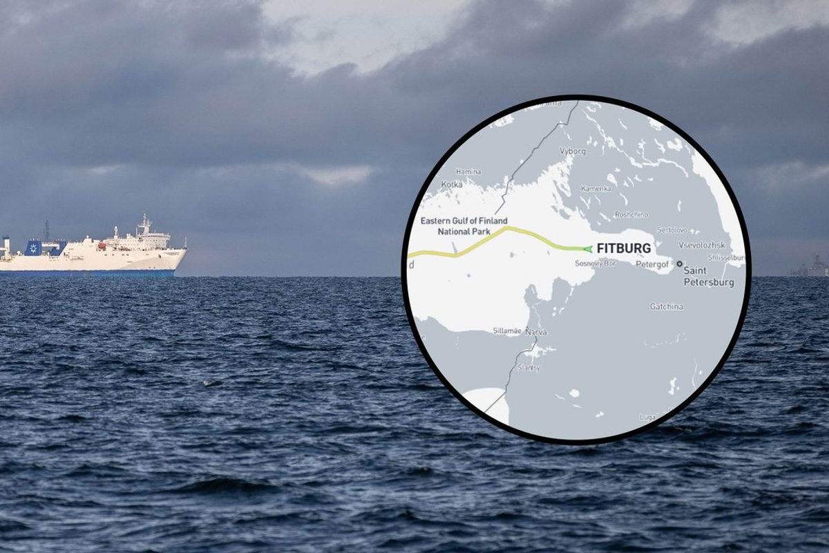 Pažeistas Helsinkį ir Taliną jungiantis kabelis