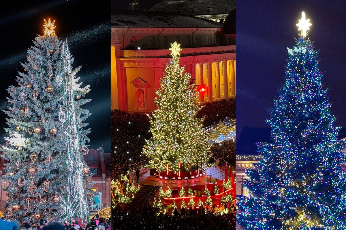 Kuri kalėdinė eglė patinka labiausiai: Vilniaus, Kauno ar Klaipėdos