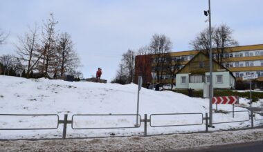 Paskelbtas nuosprendis paminklo Ramanauskui-Vanagui niekintojams