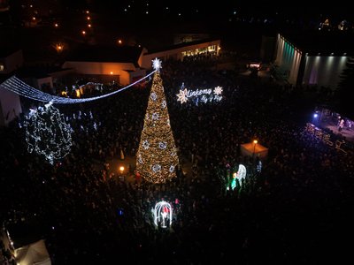 Utenos Kalėdų eglė