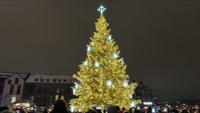 Panevėžio Kalėdų eglė