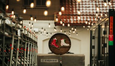 Netrukus bus atidaryta didžiausia Vakarų Lietuvoje ledo arena