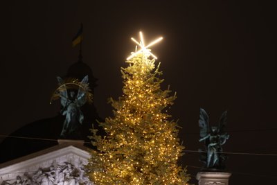 Kalėdų eglutė Lvive