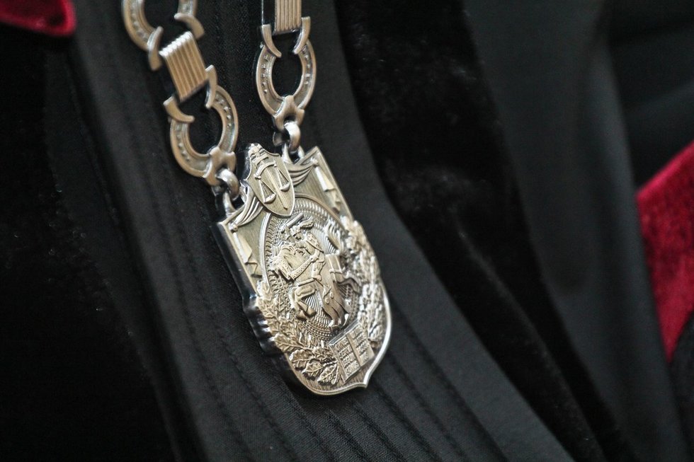 Teisėjas (nuotr. Fotodiena.lt)