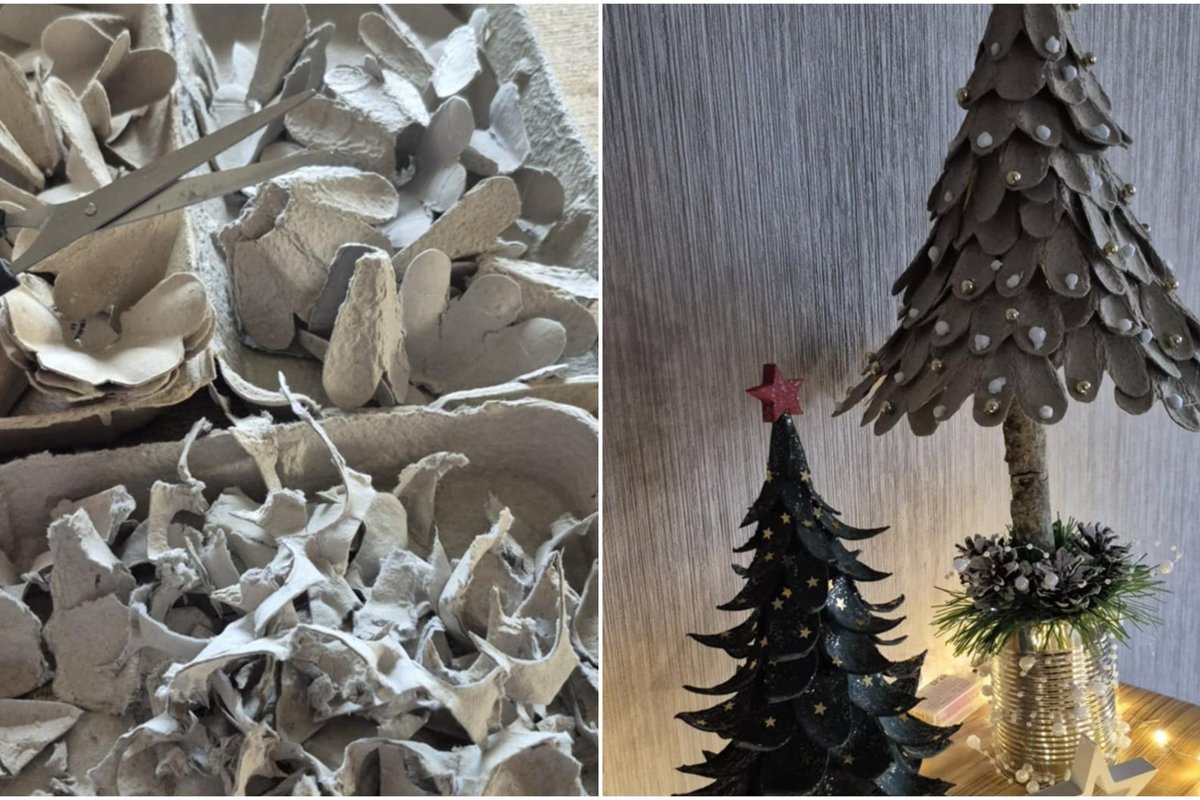 Kiaušinių dėžutes pavertė Kalėdų eglėmis