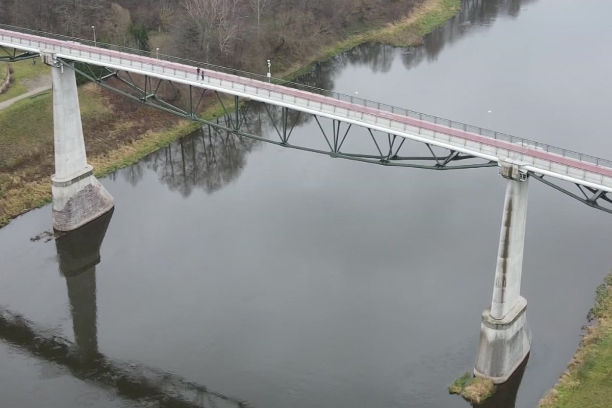 Daugiau kaip 30 kilometrų Nemuno sugadinta negrįžtamai, iš mokslininkų – niūri prognozė