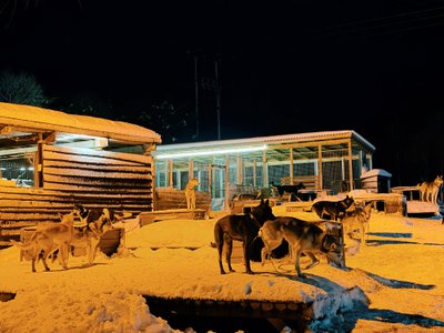 Orijaus Gasanovo kelionė Trumsėje