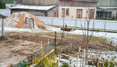 Vaizdingoje gyvenvietėje – sukrečiantis vaizdas: iš po žemių kyšojo nugara ir pakaušis - Delfi