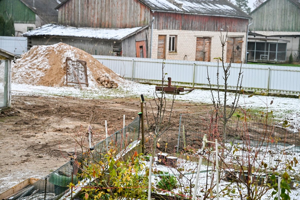 Vaizdingoje gyvenvietėje – sukrečiantis vaizdas: iš po žemių kyšojo nugara ir pakaušis - Delfi