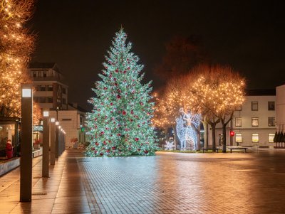 Alytaus Kalėdų eglė