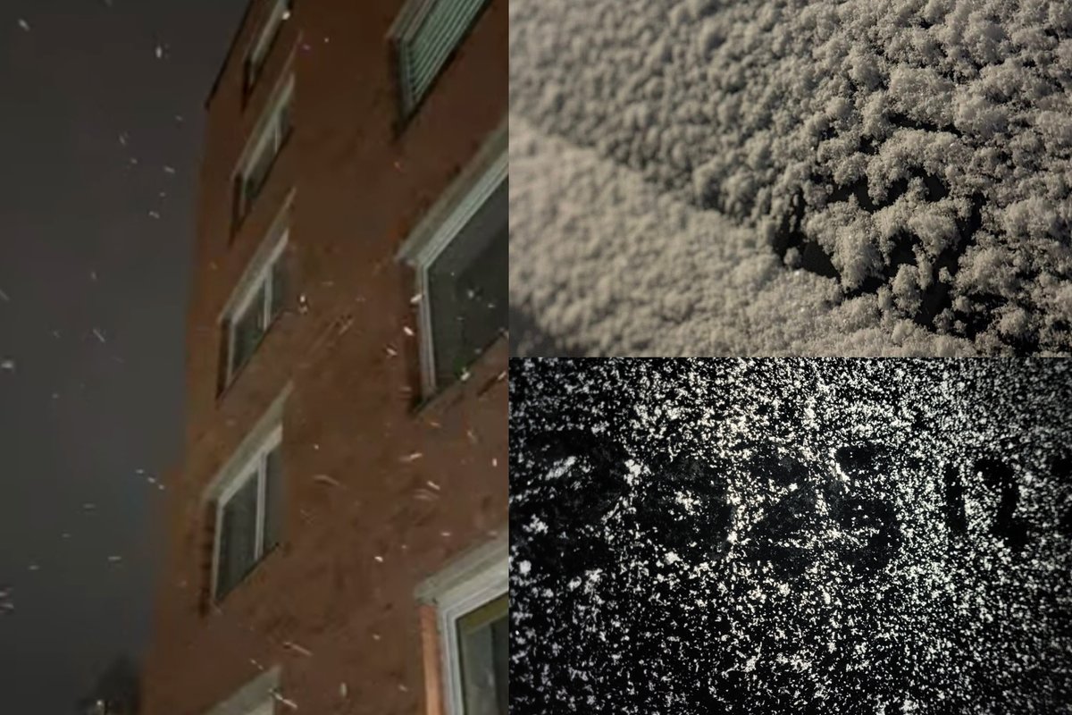 Dalyje Lietuvos antradienio rytą krito sniegas