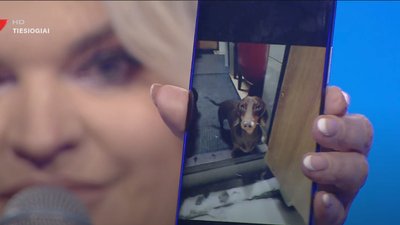 Skaivos Jasevičiūtės augintinis