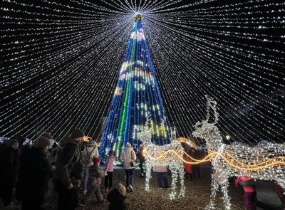 Kalėdų eglutės Ukrainoje