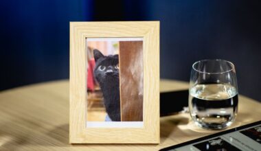 Analizė: užsienio žiniasklaidoje – dėmesys Nuodėguliui