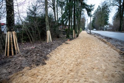 Takas Džiaugsmo gatvėje