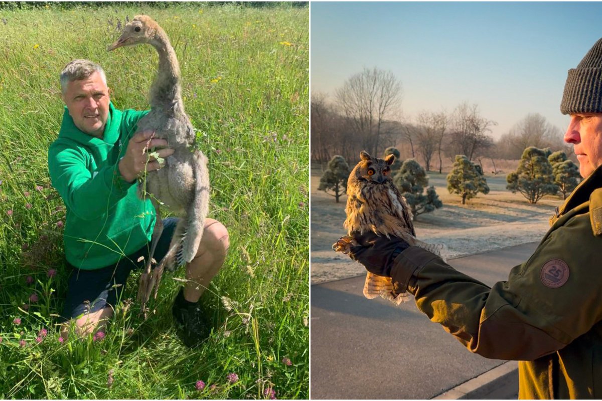 Ornitologas oaukščius geba atskirti ir pagal balsą