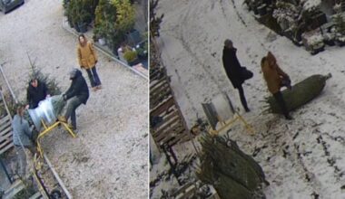 Plinta komiška kėnį vos ištraukusių lietuvių situacija: tai užfiksavo vaizdo įraše