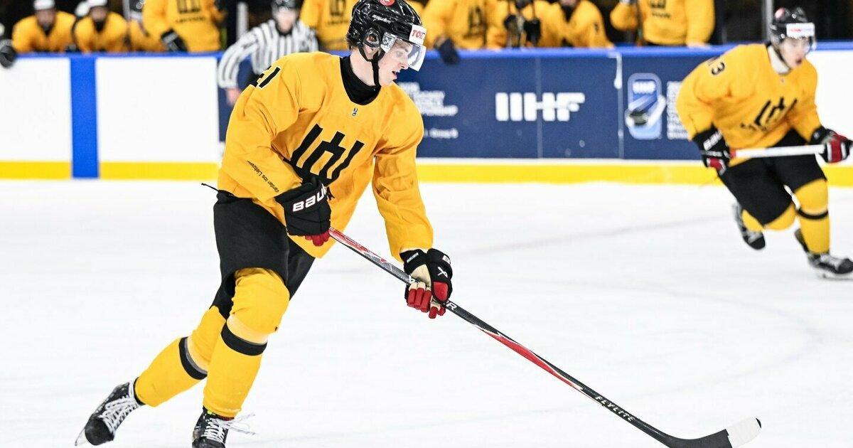 Japoniją įveikę lietuviai išsaugojo šansus kovoti dėl pasaulio čempionato IB diviziono medalių