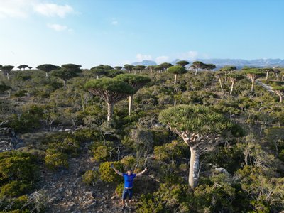 Algirdo Morkūno kelionė Sokotroje