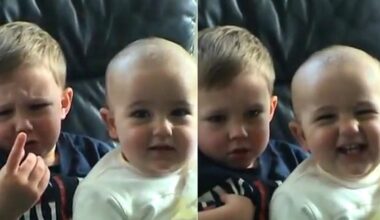 Vienas populiariausių vaizdo įrašų Youtube