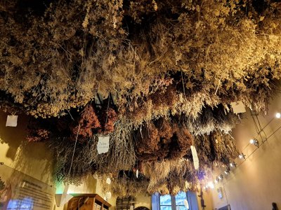 „Aboca“ muziejaus eksponatai