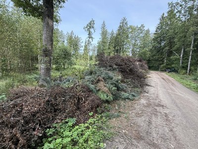 Miškininkų ir žurnalistų reidas