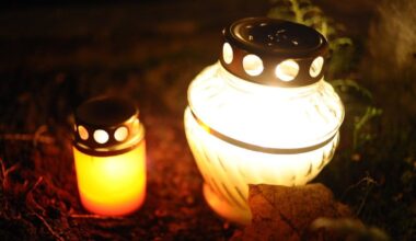 Prieš sudūžtant lėktuvui pilotas pasakė vos 1 žodį: štai koks jis buvo