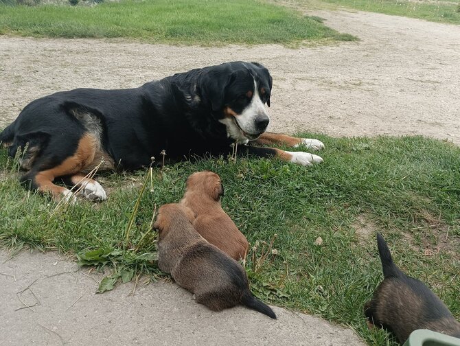 Asmeninio archyvo nuotr./Lietuvių kalbos mokytojos Mildos Ratomskienės augintiniai