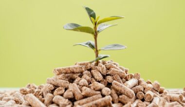 Šilumos gamintojų apsirūpinimas biokuru gruodį siekia beveik 80 proc. viso reikalingo kiekio