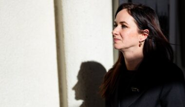 Socialdemokratai dar nebuvo to patyrę