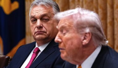 Trumpas neigia pažadėjęs Vengrijai milijardus dolerių