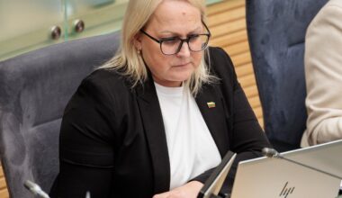 Girskienė: opozicija tiesiog veidmainiauja - Delfi