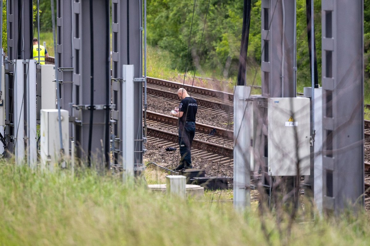 Geležinkelio vaidmuo kare: Baltijos šalys dar turi ką veikti